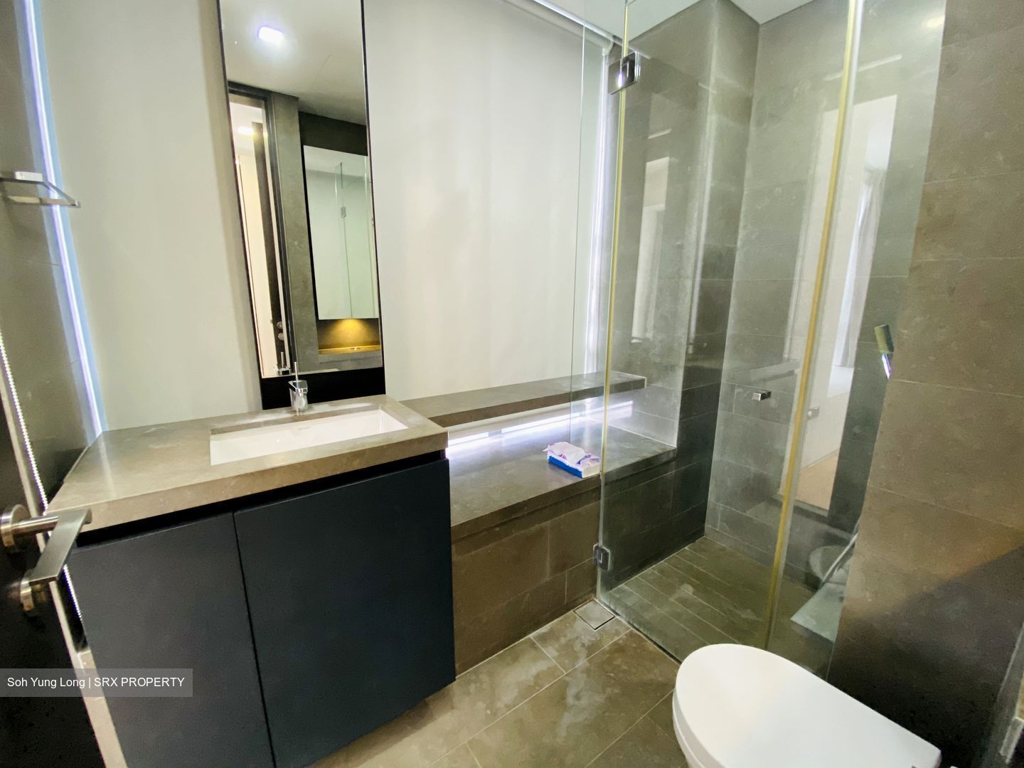 Skysuites@Anson (D2), Apartment #392120561